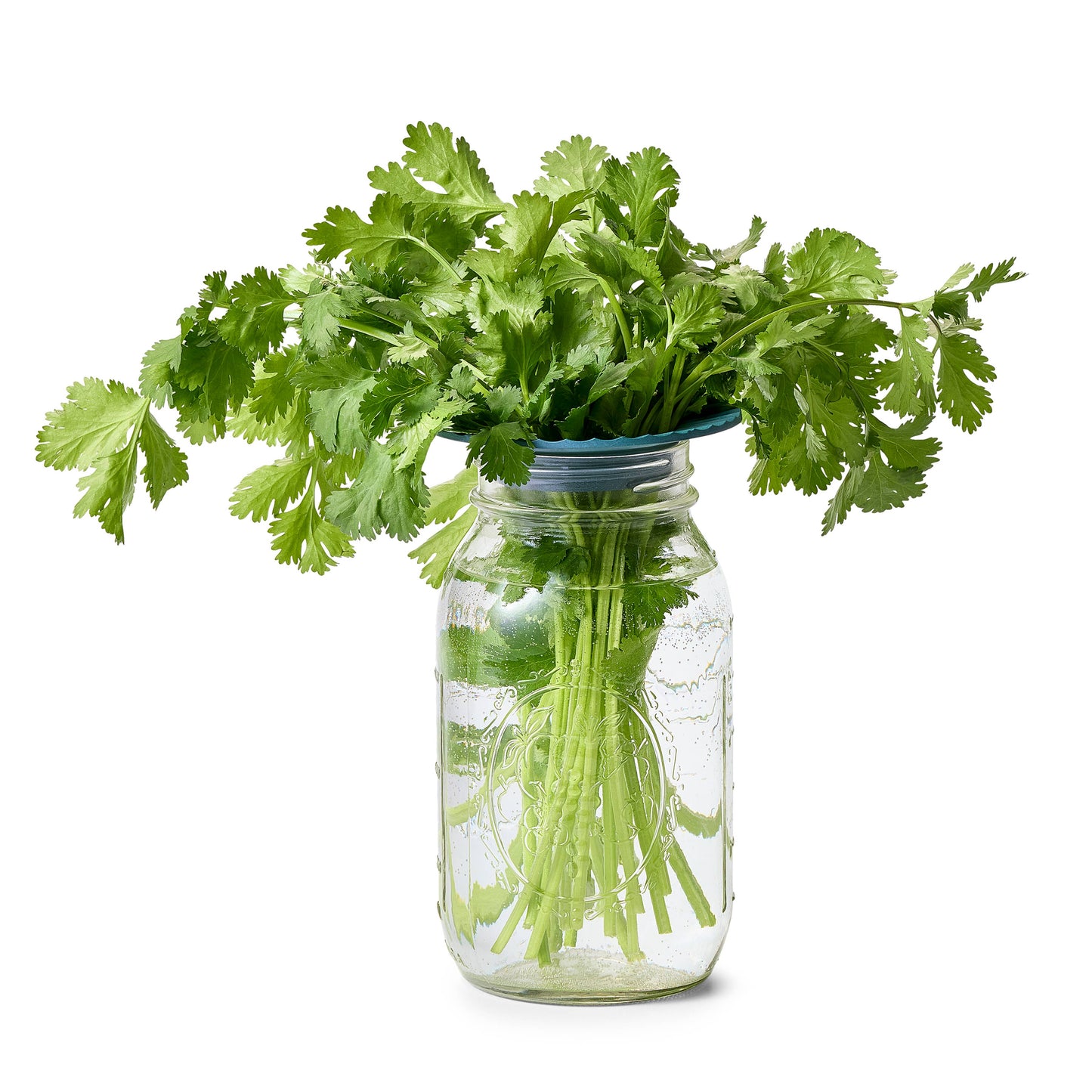 Modern Sprout - Produce Keepers - Set of 2