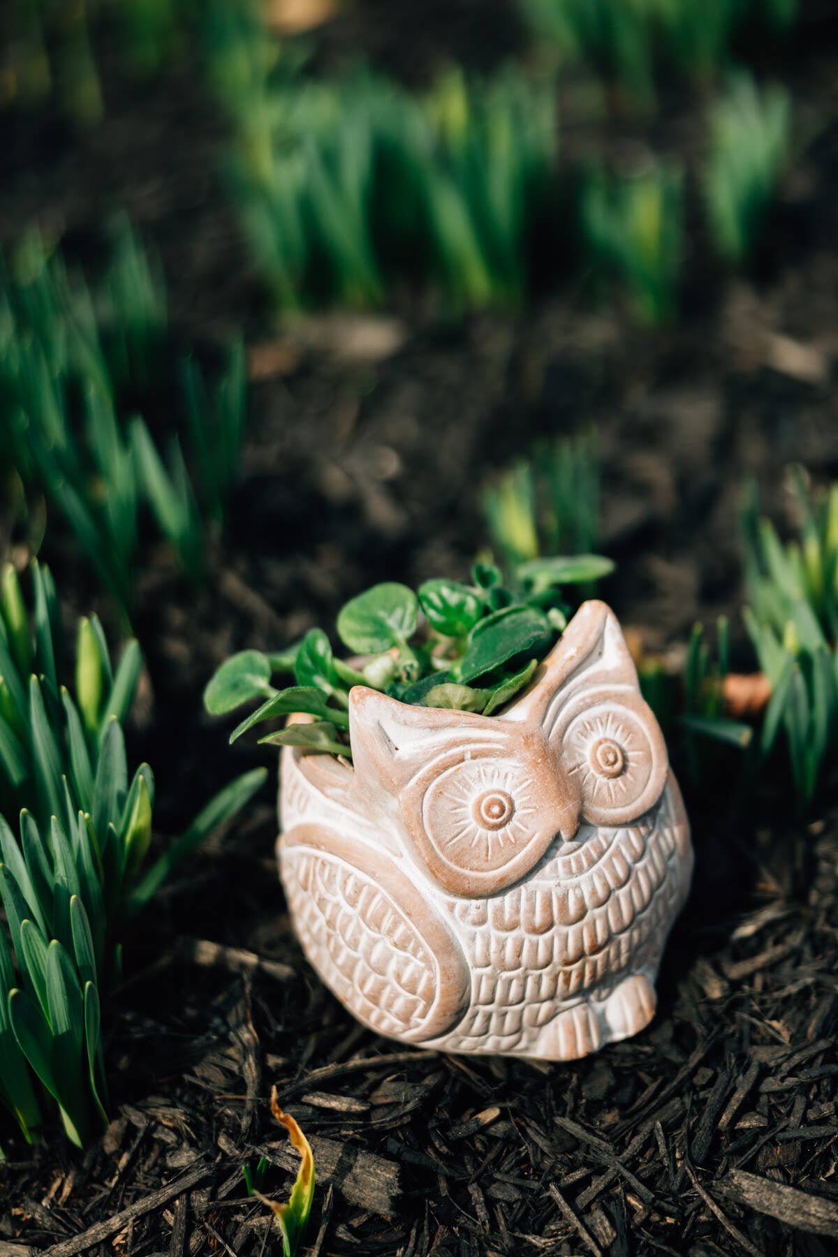 Ten Thousand Villages - Petite Owl Planter