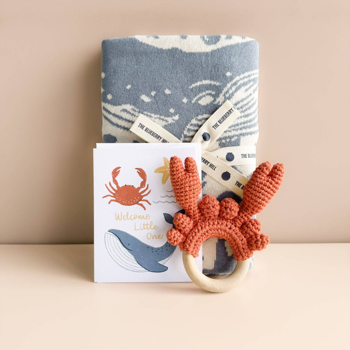 The Blueberry Hill - Blanket Nautical Summer Ocean Organic Cotton Baby Gift