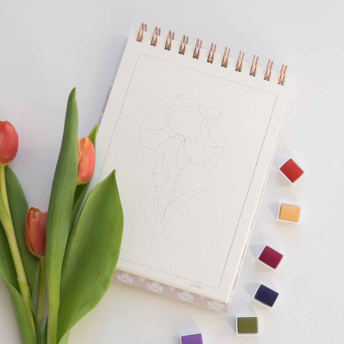 bailey rae studio - Flowers watercolor workbook