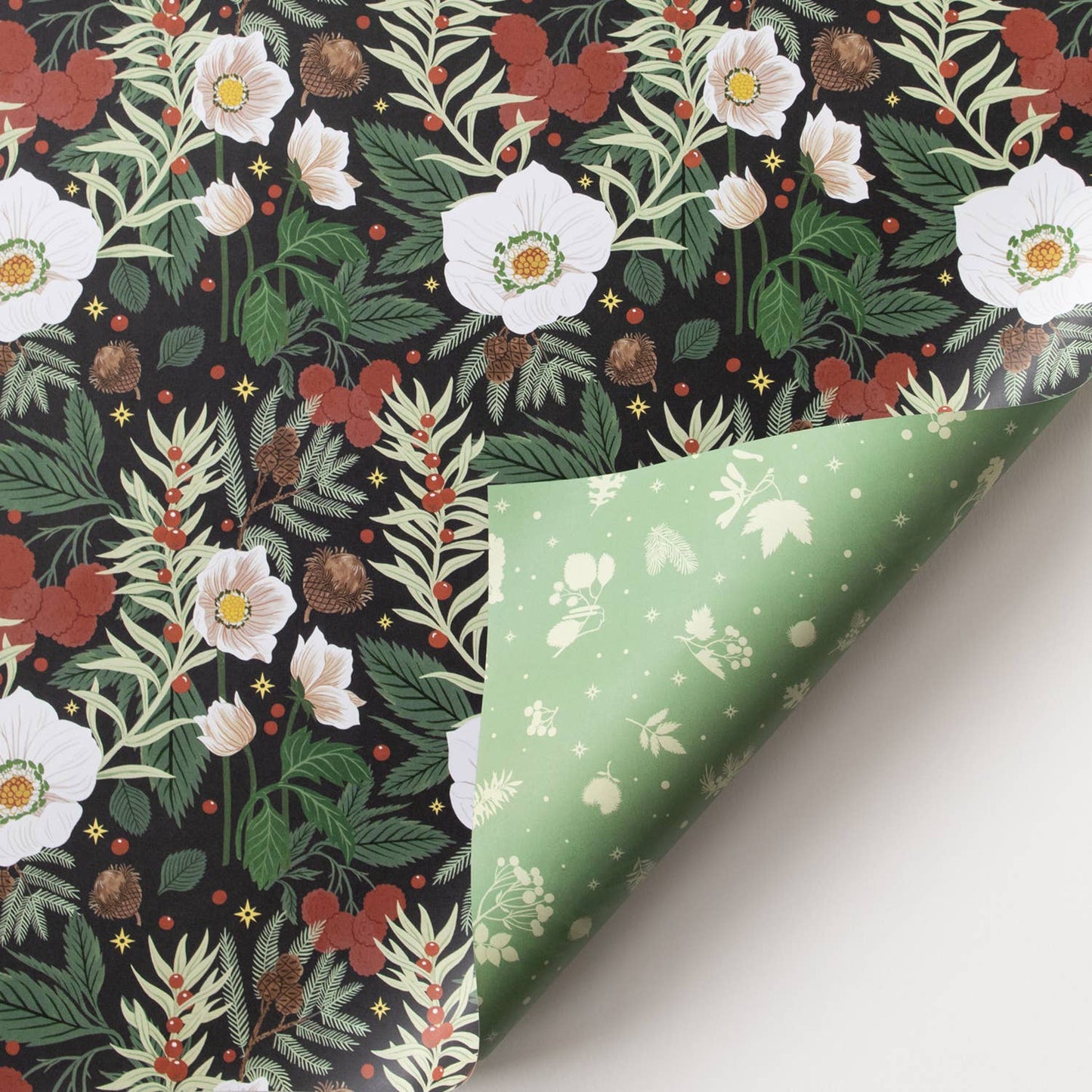 Botanica Paper Co. - WINTER BOTANICALS | Double Sided Wrapping Paper Single Sheet