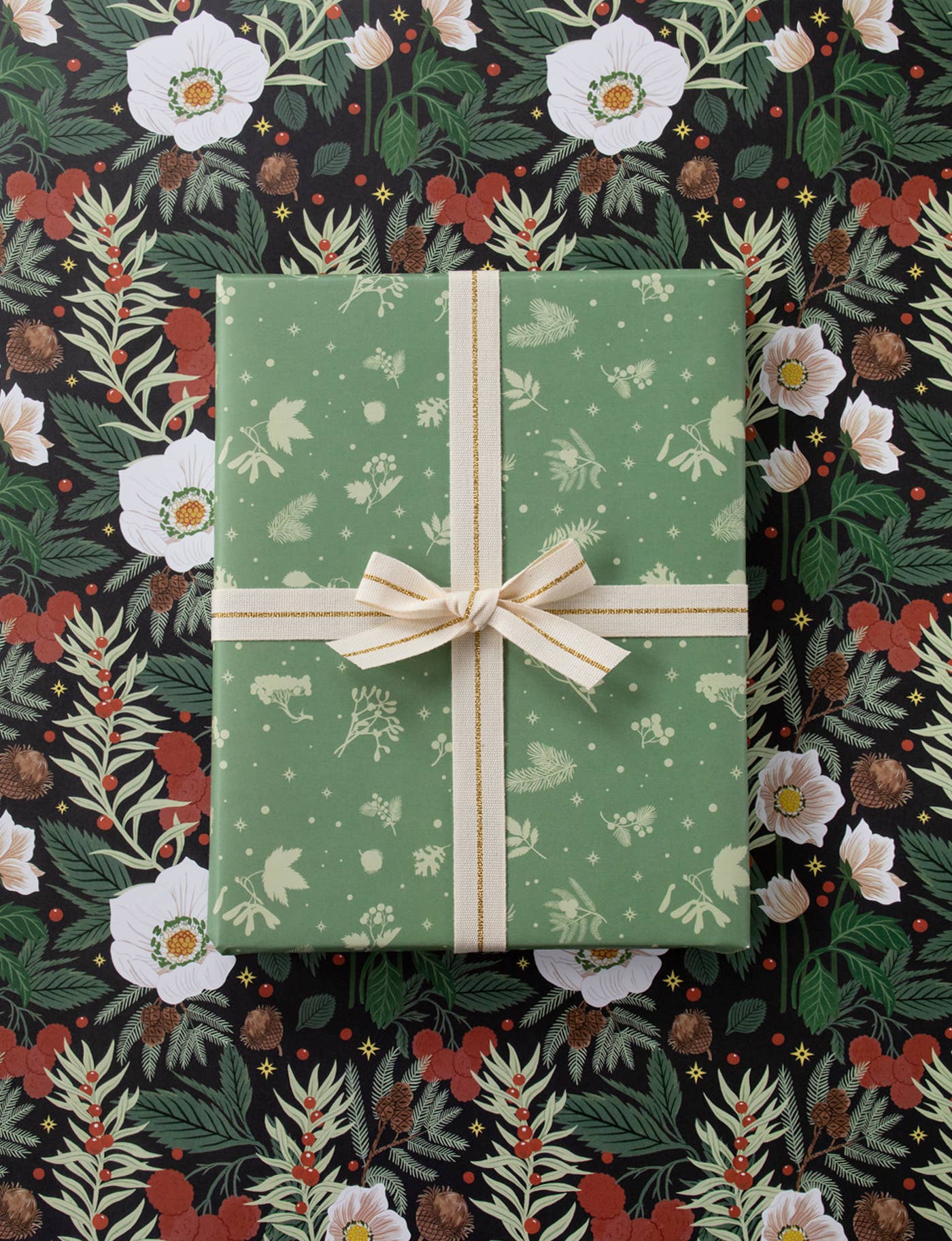 Botanica Paper Co. - WINTER BOTANICALS | Double Sided Wrapping Paper Single Sheet