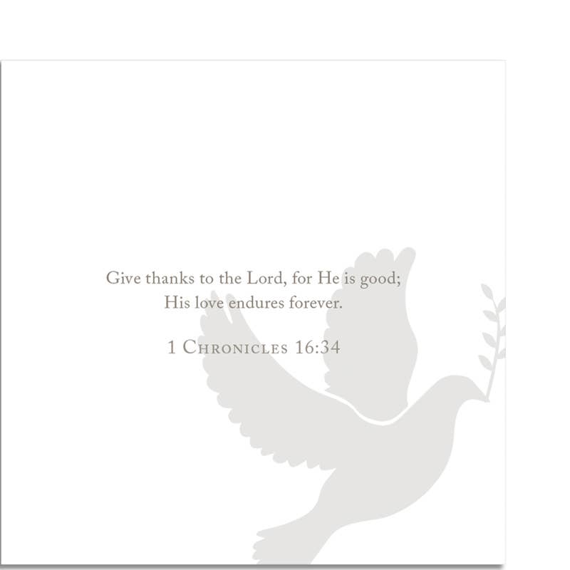 Anne Neilson Home - Promise Scripture Cards