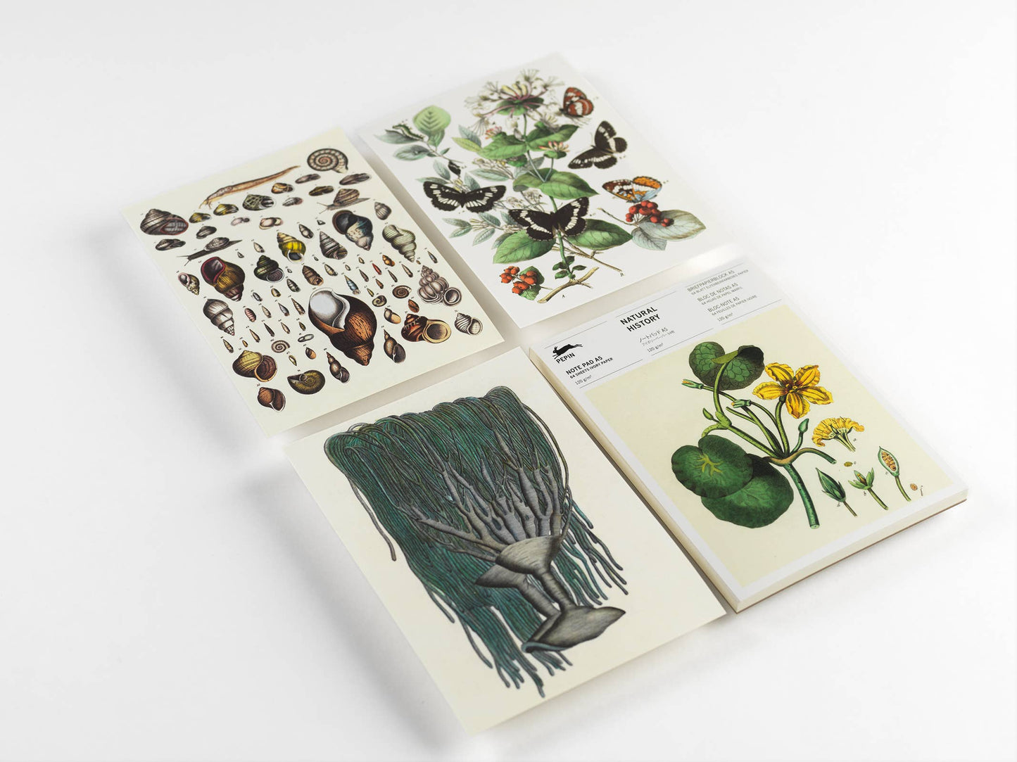 Pepin Press - Natural History A5 Note Pad & Writing Paper