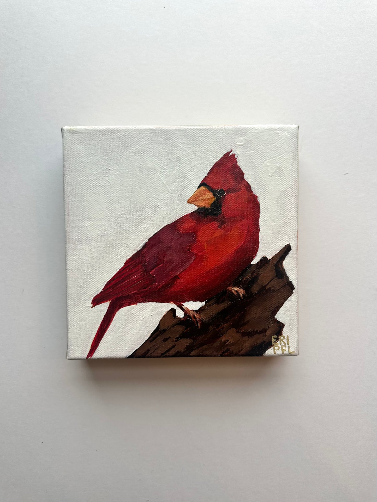 A Bird A Day No 4: The Cardinal