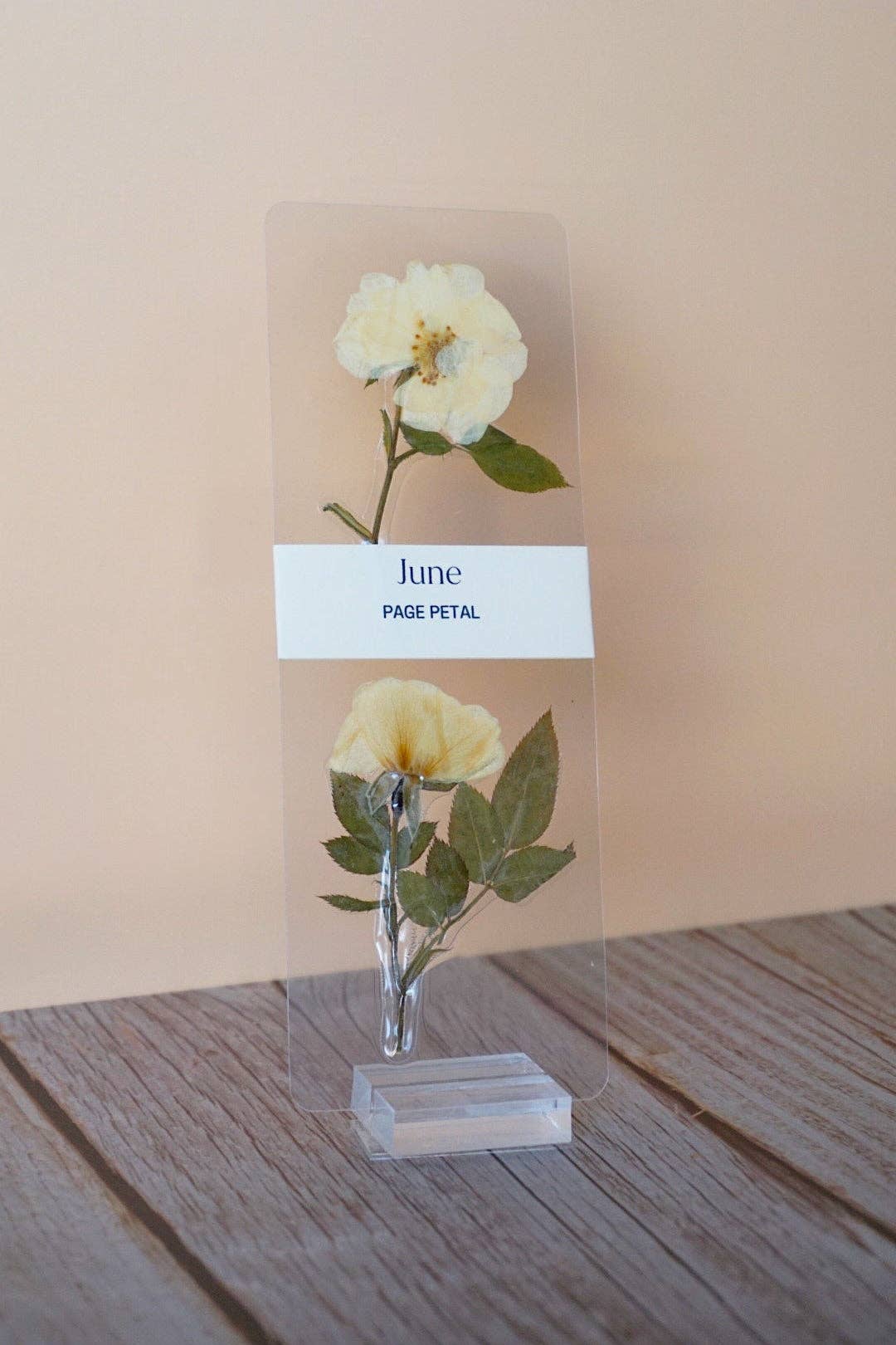 Page Petal - June Rose Bookmark | Birth Month Flower Gift