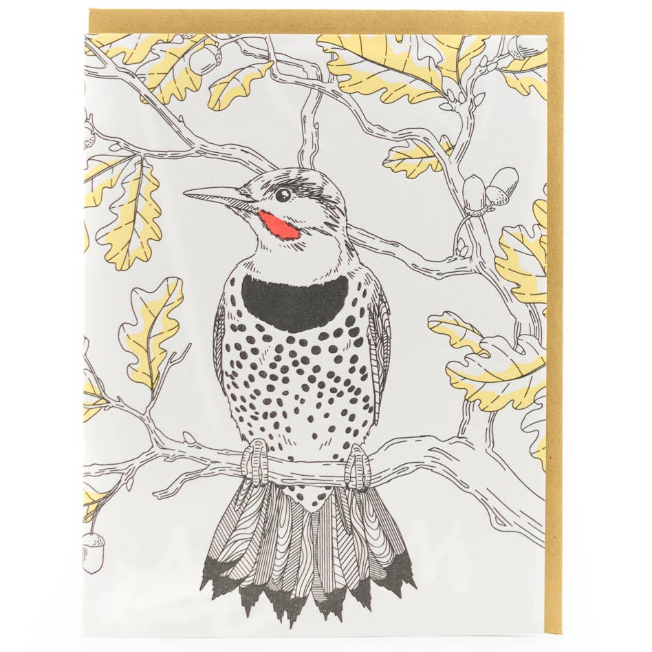 Northern Flicker Card - West Coast Birds: Box Set of 6 Cards