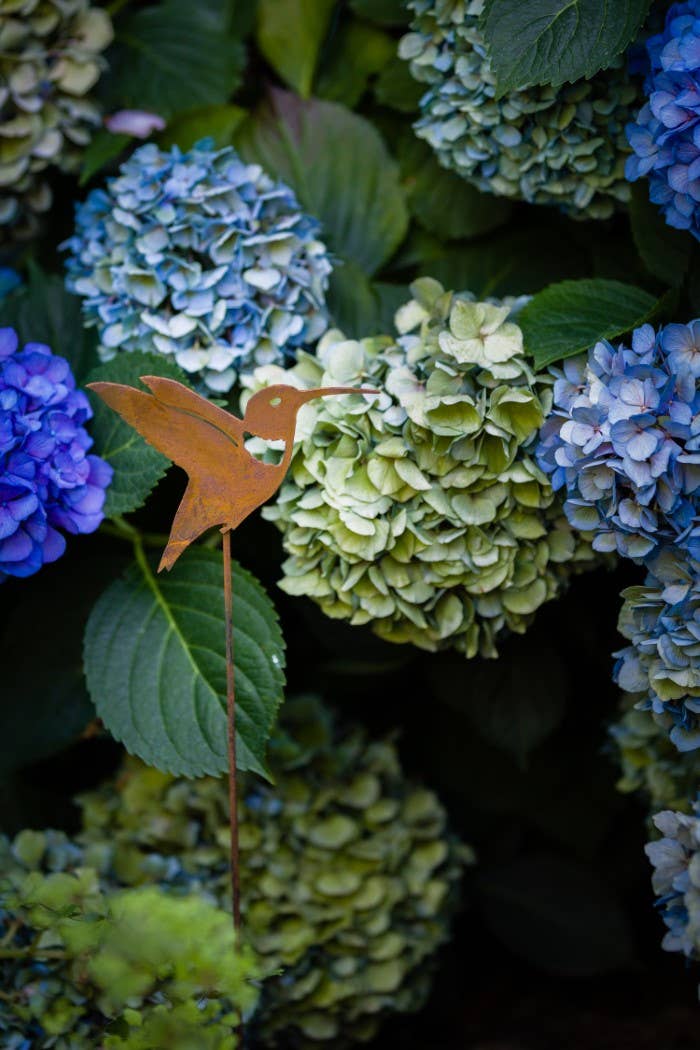 Elegant Garden Design - Hummingbird Pick