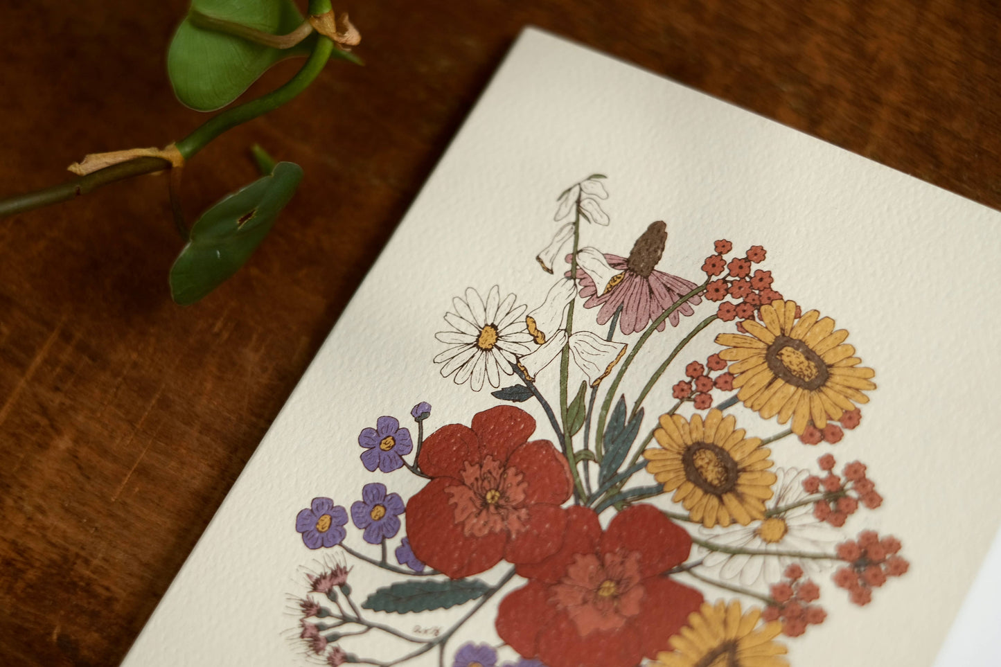 annalisa v. sawtell - The Botanical Promises Collection | Boxed Set of 8 | A2