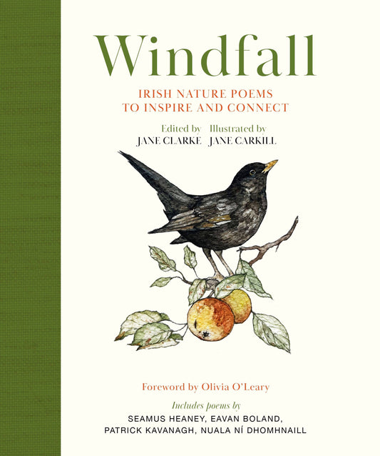 Hachette Book Group - Windfall