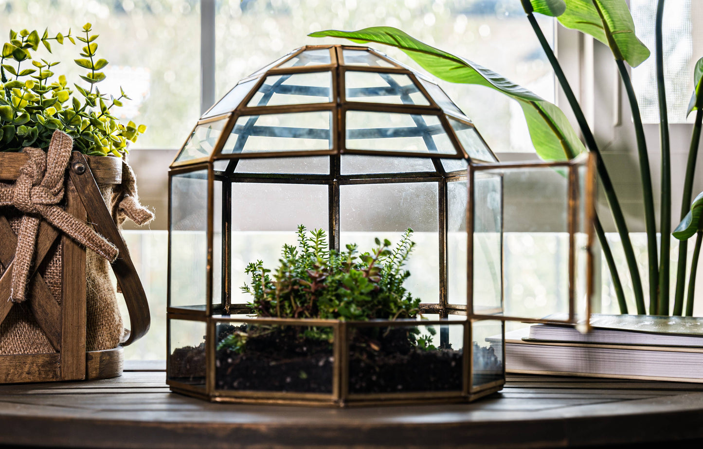 Urban Born - Urban Born Birdcage Terrarium: Glass Indoor Display, Bronze