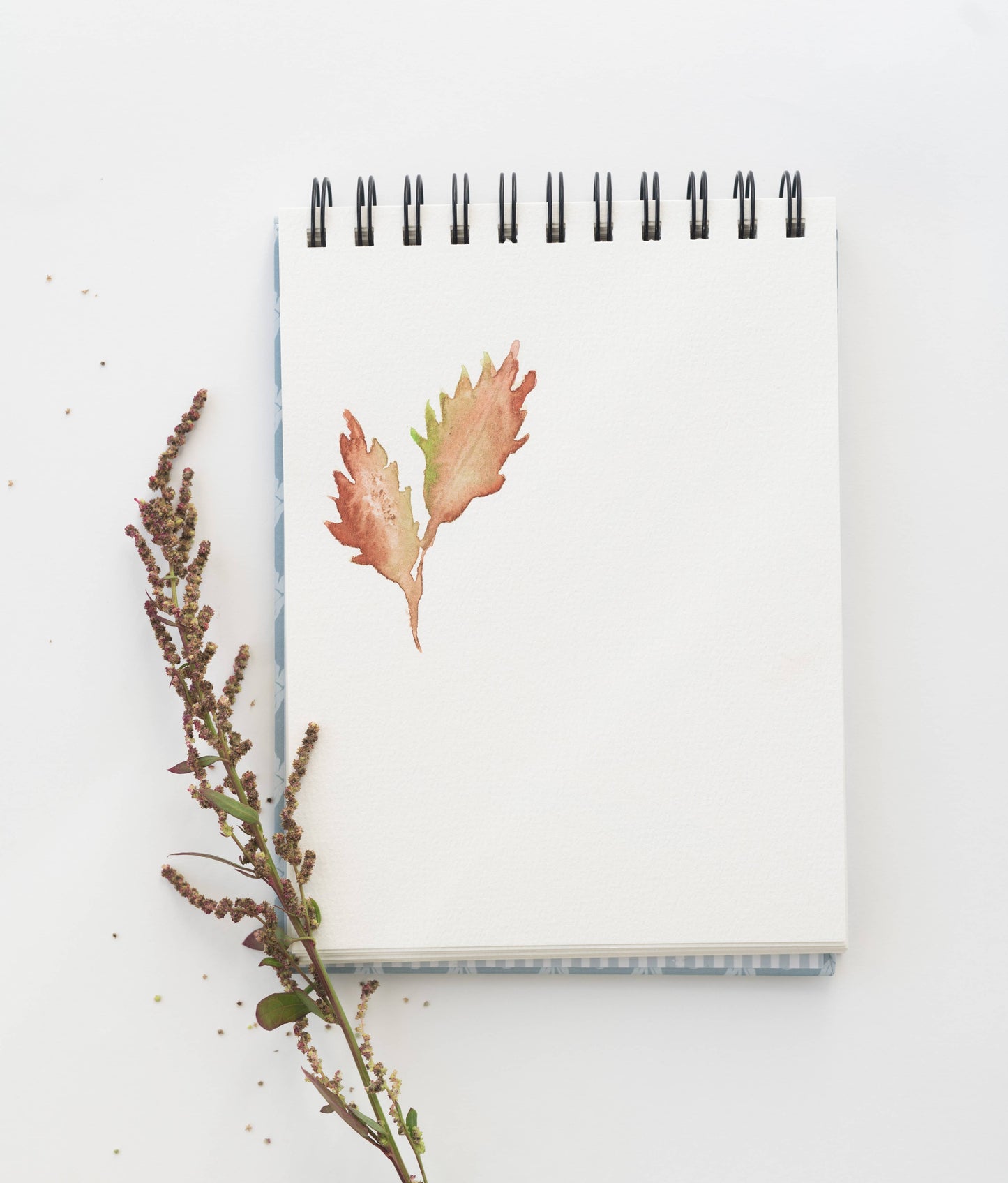 Bailey Rae Studio - Spiral Watercolor Paper Pad
