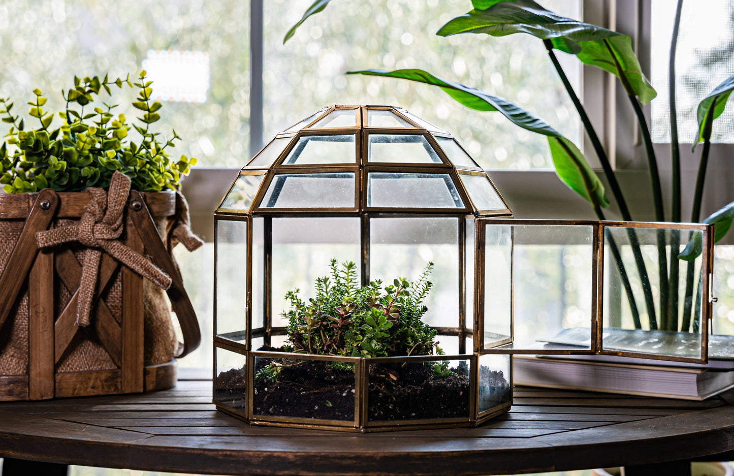 Urban Born - Urban Born Birdcage Terrarium: Glass Indoor Display, Bronze