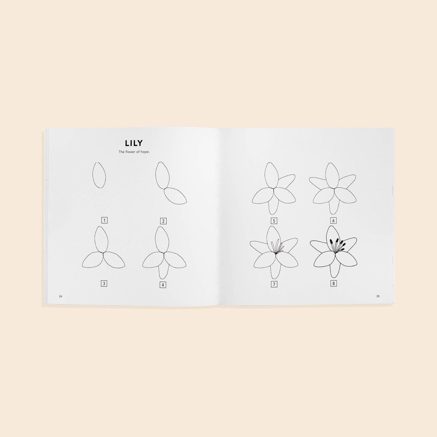 Paige Tate & Co. - Modern Flowers: A How to Draw Book for Kids