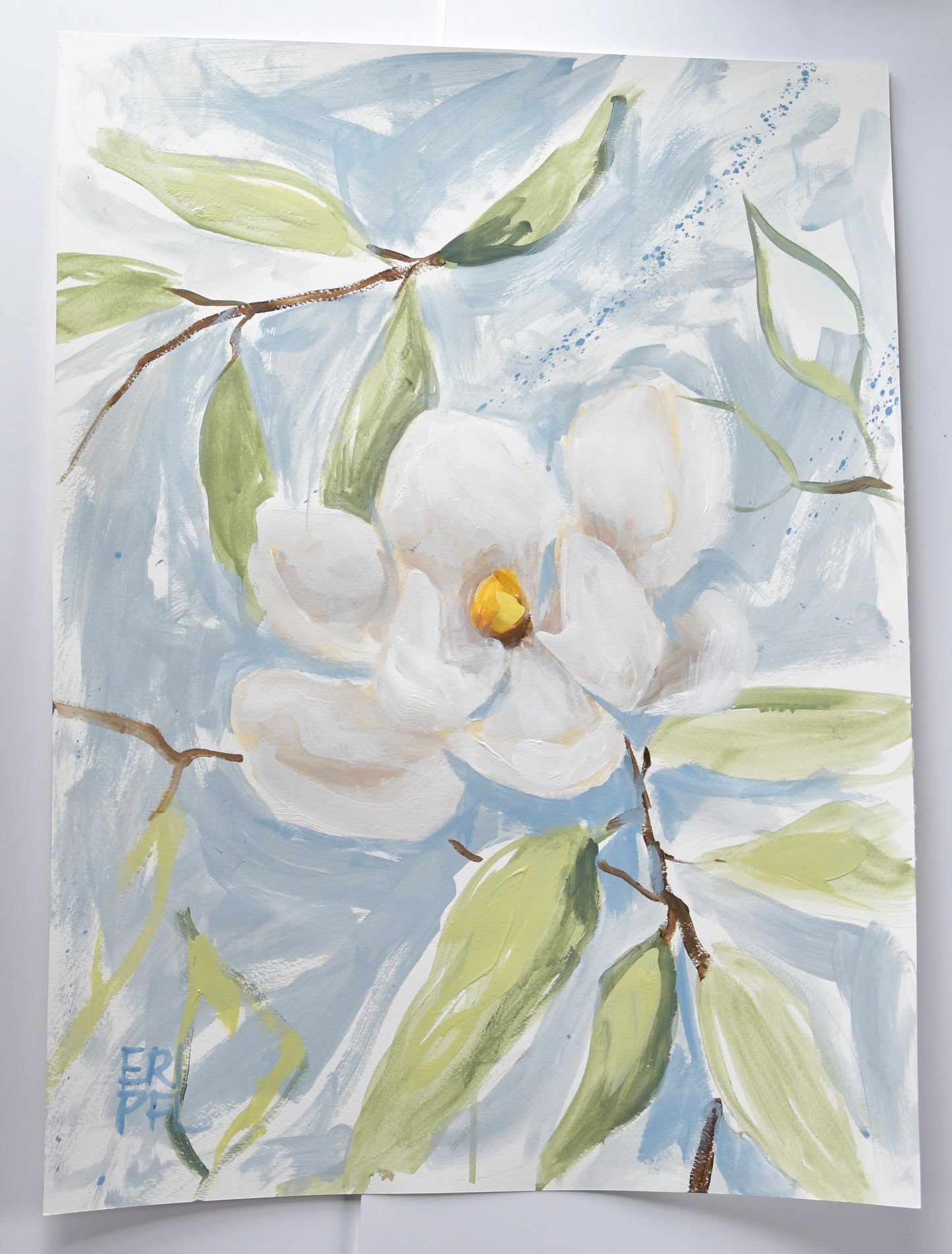 Blue Magnolia