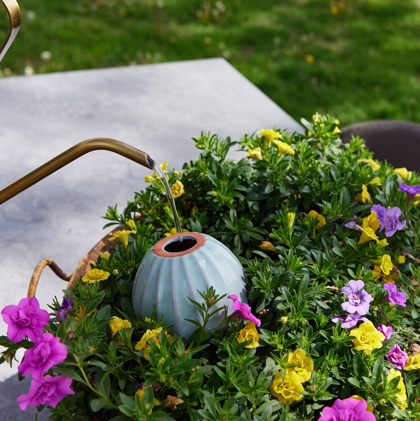 Modern Sprout - Terracotta Watering Bulb