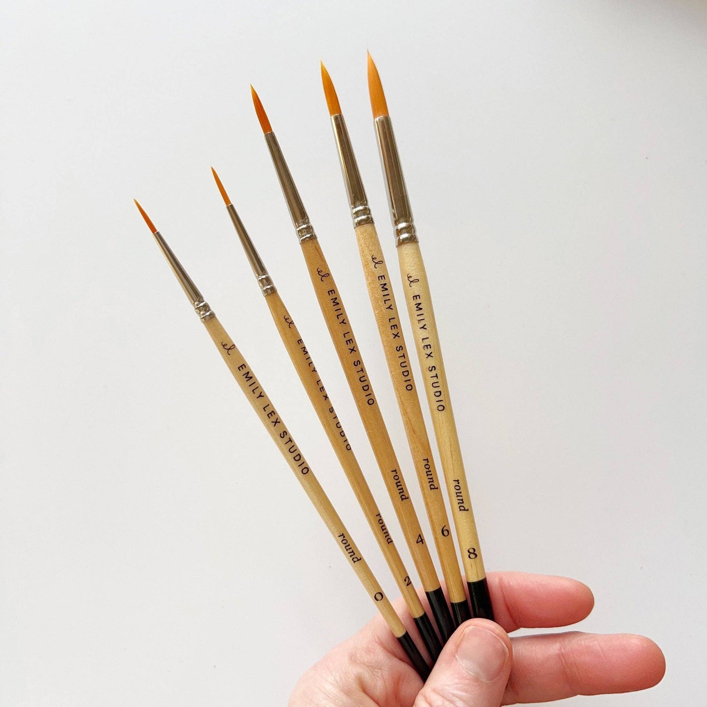 emily lex studio - Watercolor paintbrush set