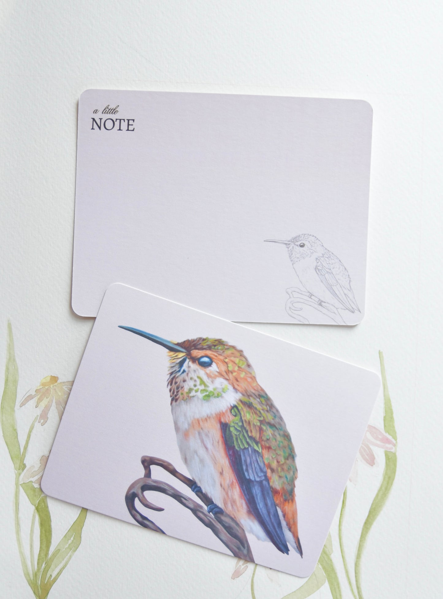 Rufous Hummingbird Notecard Set