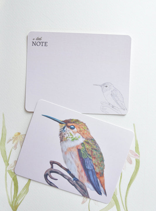 Rufous Hummingbird Notecard Set