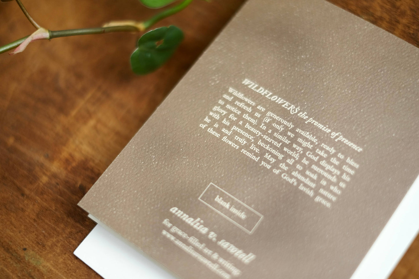 annalisa v. sawtell - The Botanical Promises Collection | Boxed Set of 8 | A2