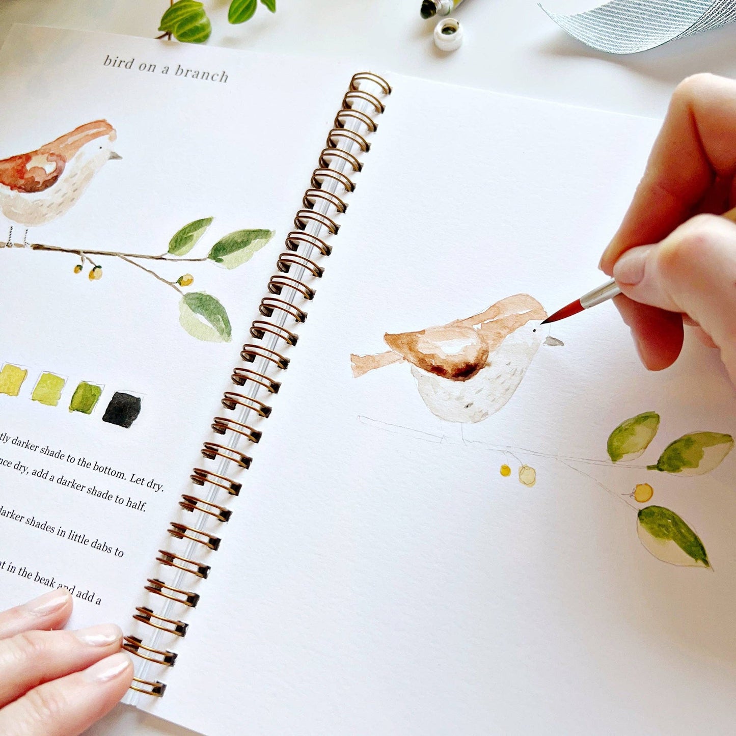 emily lex studio - Animals watercolor workbook