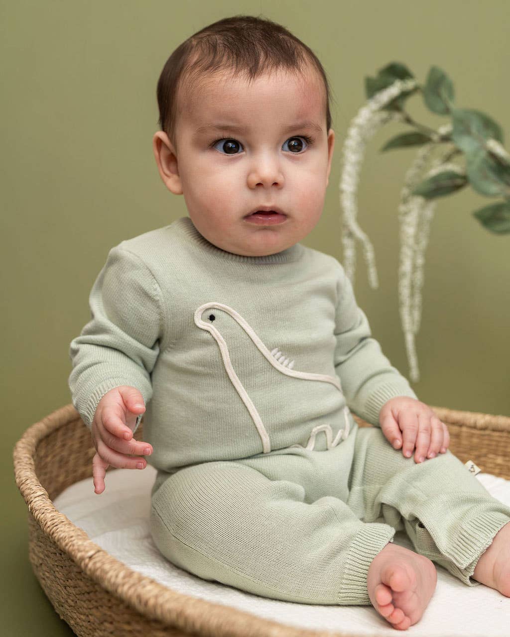 Viverano Organics - Dino Embroidered Baby Knit Jumpsuit (Organic Cotton)