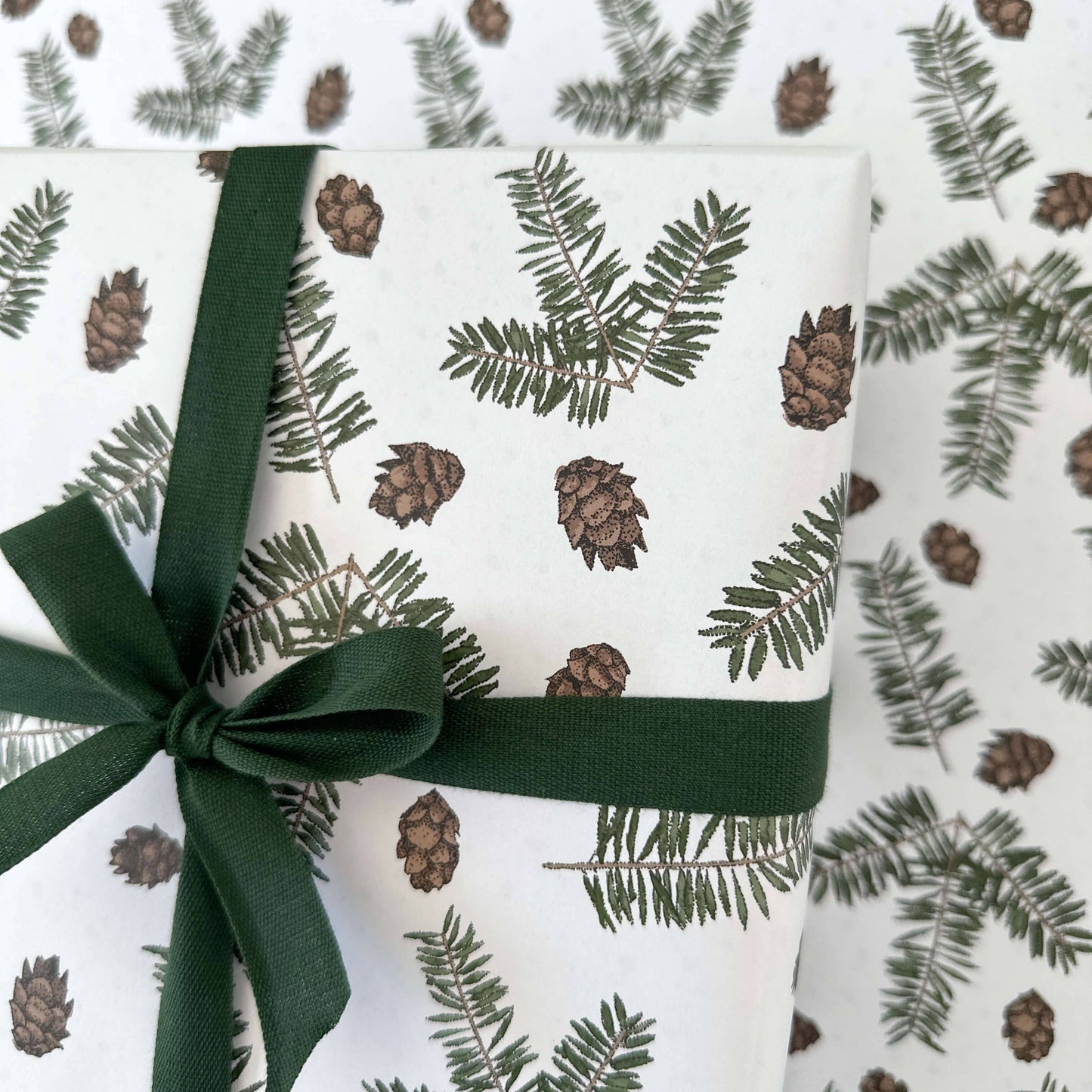 Ballard & Prescott - Pine Cone Wrapping Paper
