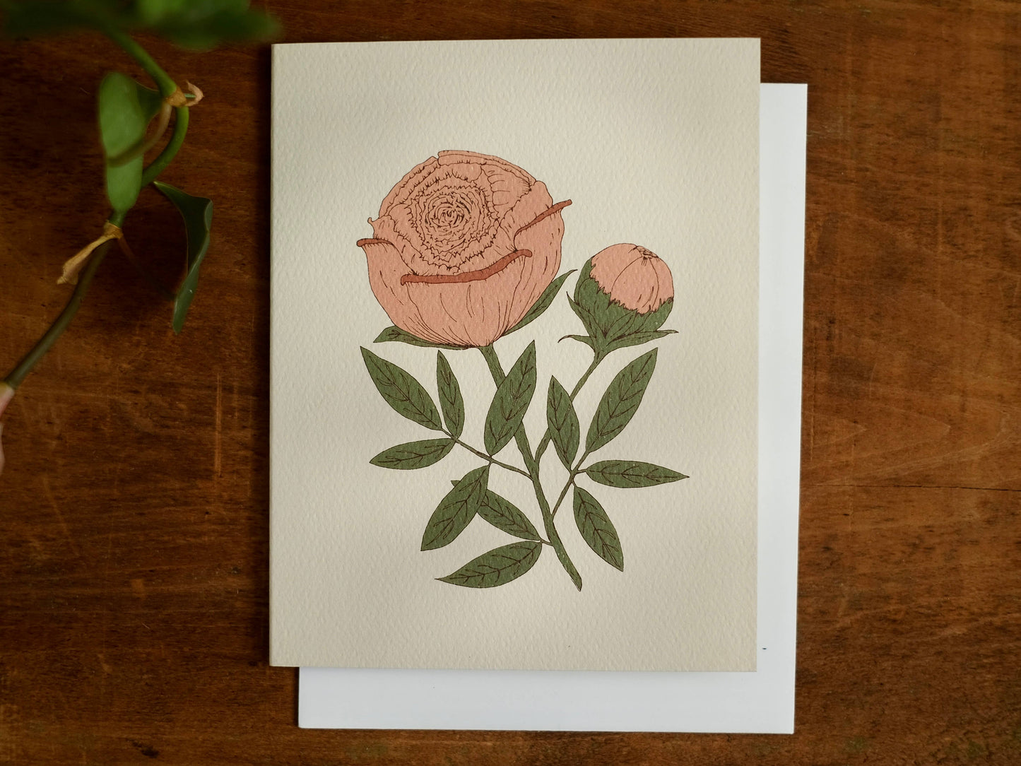 annalisa v. sawtell - The Botanical Promises Collection | Boxed Set of 8 | A2