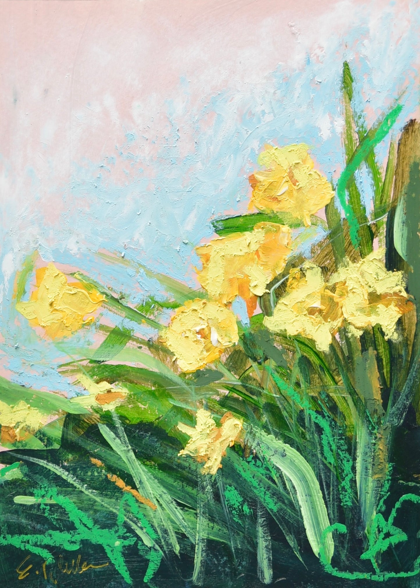 Day Lillies