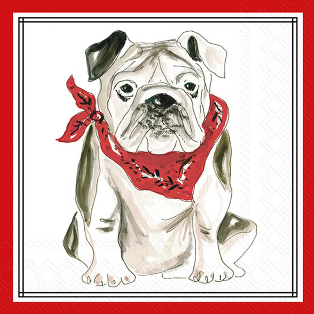 Boston International - Paper Cocktail Napkin 20 Ct Red Bulldog Hometown Pride