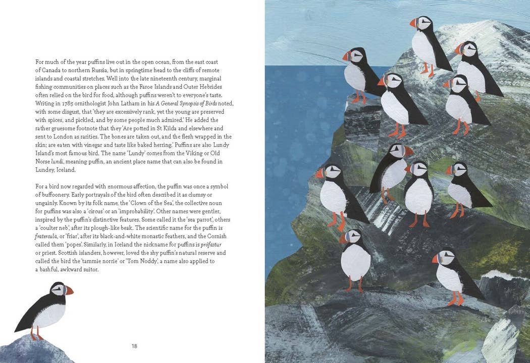 Chronicle Books - Bird Lore