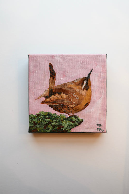 A Bird A Day No 9: The Wren