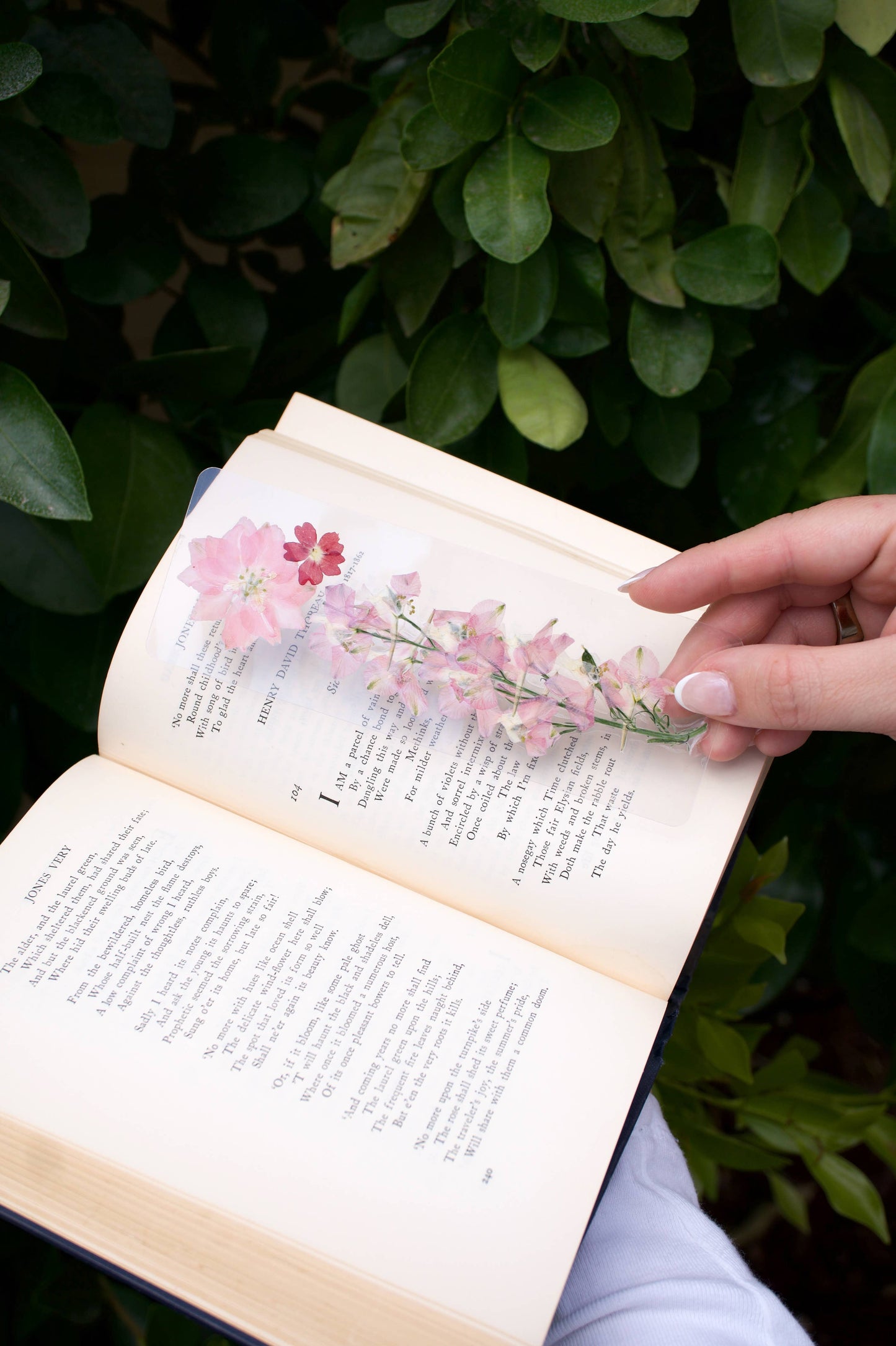 Page Petal - Love — Pressed Flower Bookmark | Romantic Gift