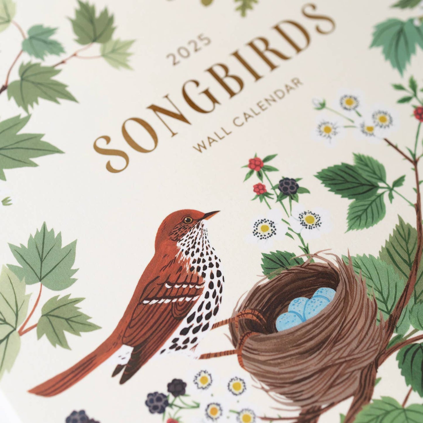 Botanica Paper Co. - 2025 WALL CALENDAR / SONG BIRDS