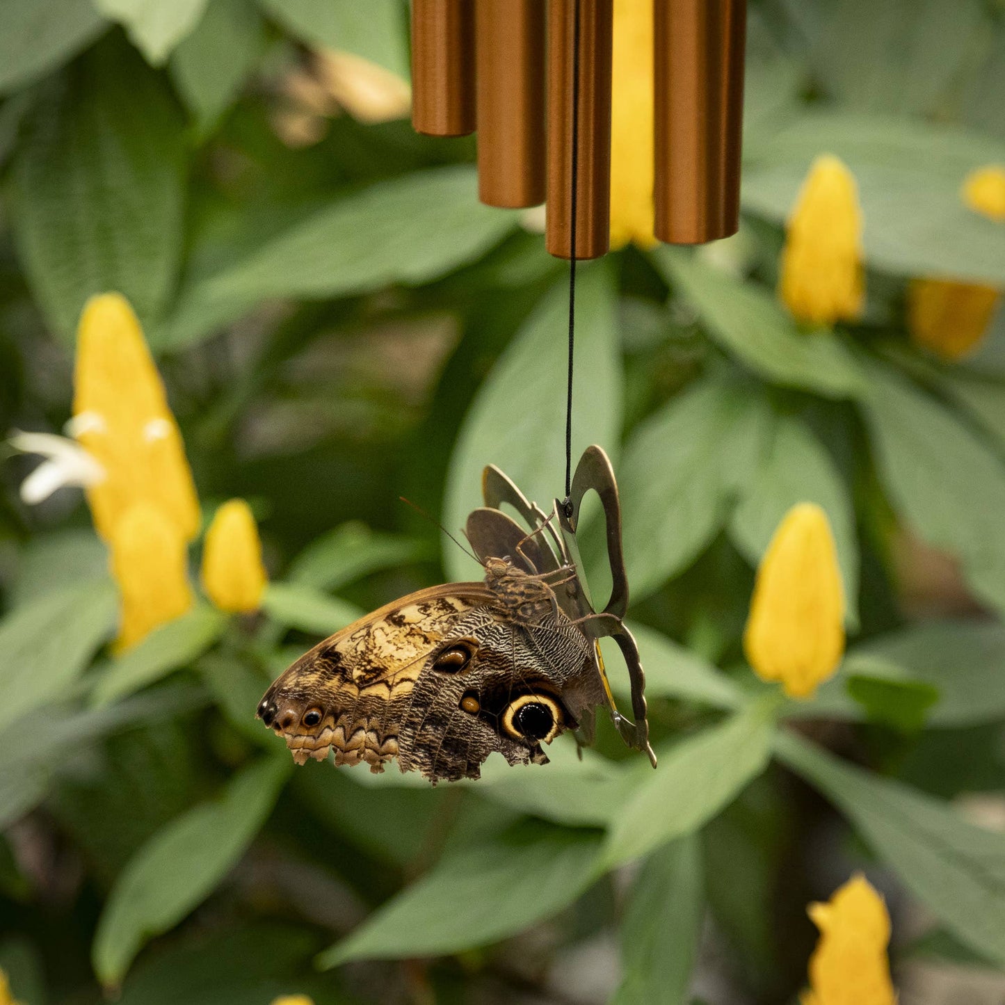 Woodstock Chimes - My Butterfly Chime™