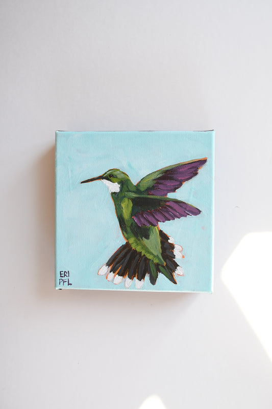 A Bird A Day No 11: The Hummer