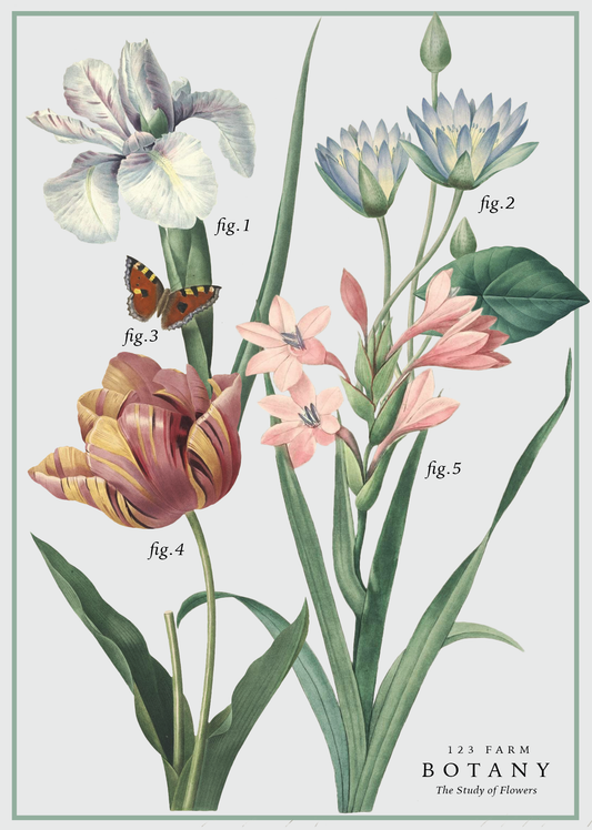 123 Farm - Vintage Posters Wrapping Paper - Botany