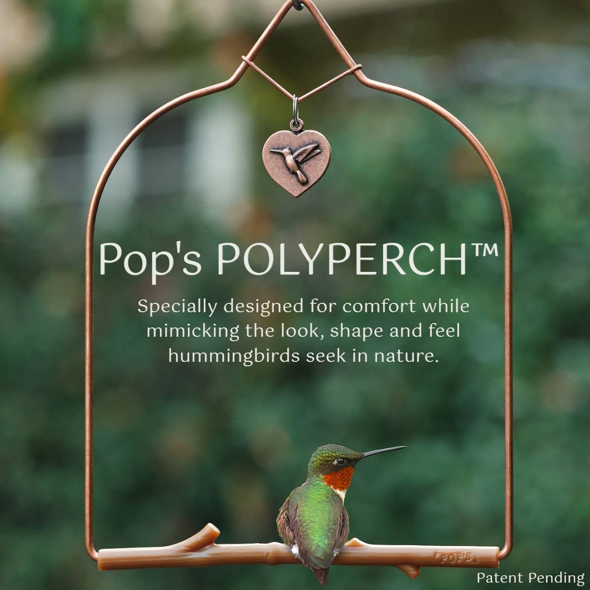 Copper Hummingbird Swing