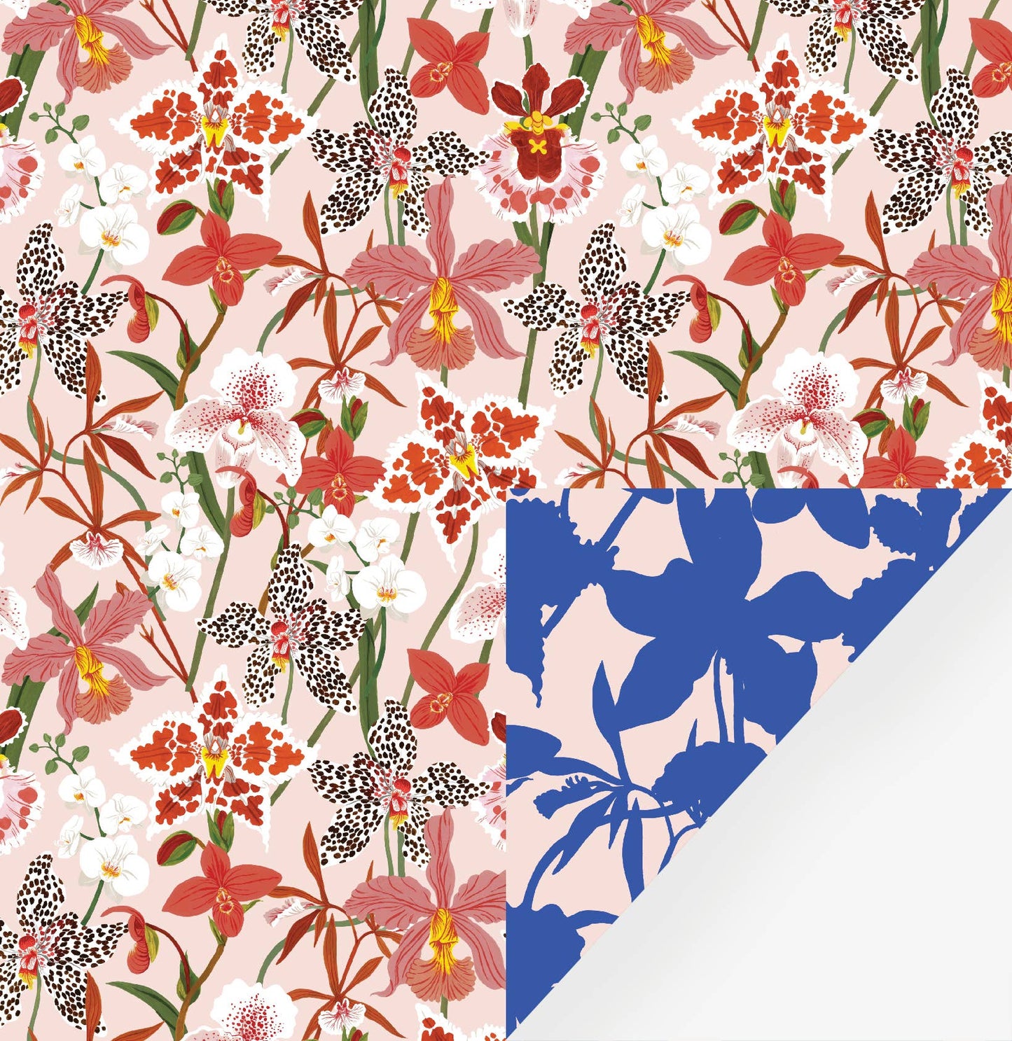 Botanica Paper Co. - ORCHIDS | Double Sided Wrapping Paper