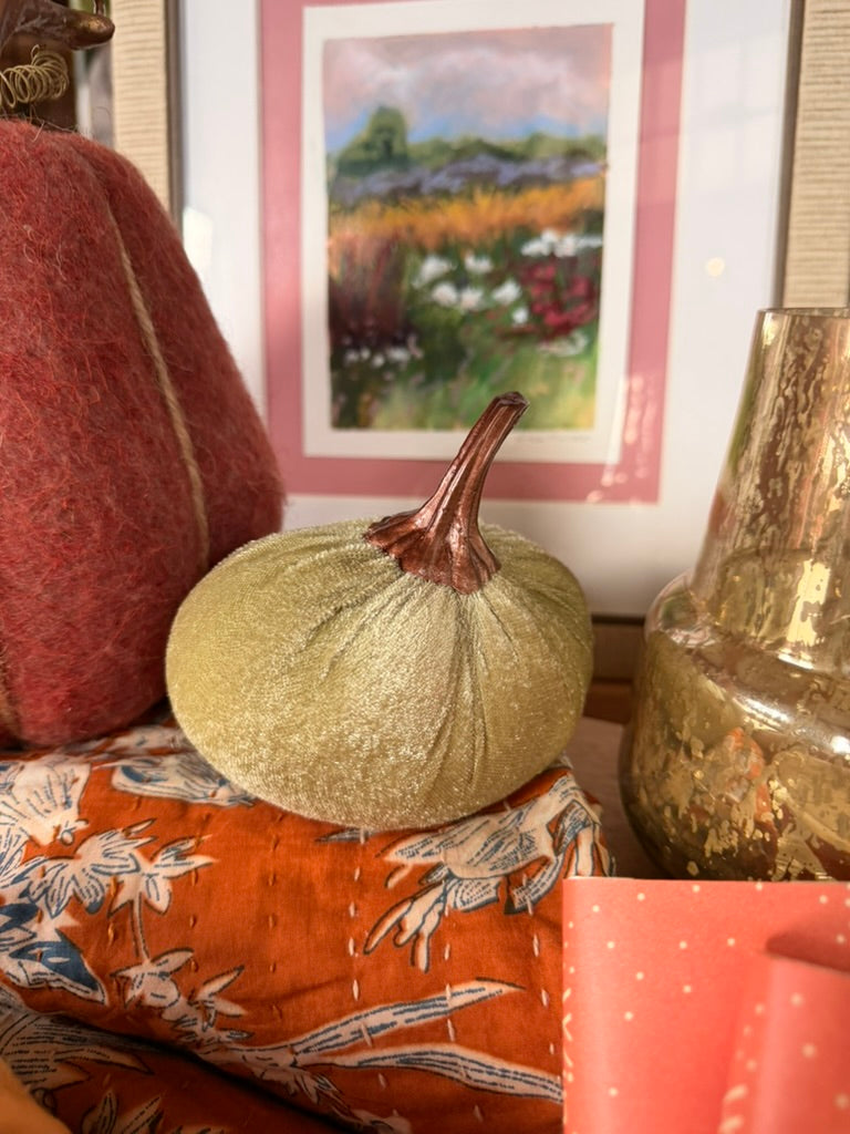 Small velvet pumpkin