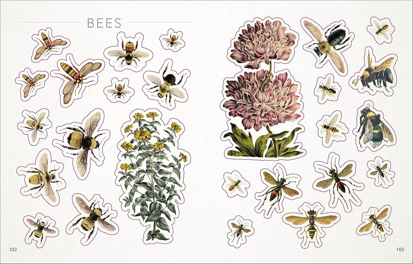 Bees birds and butterflies sticker anthology