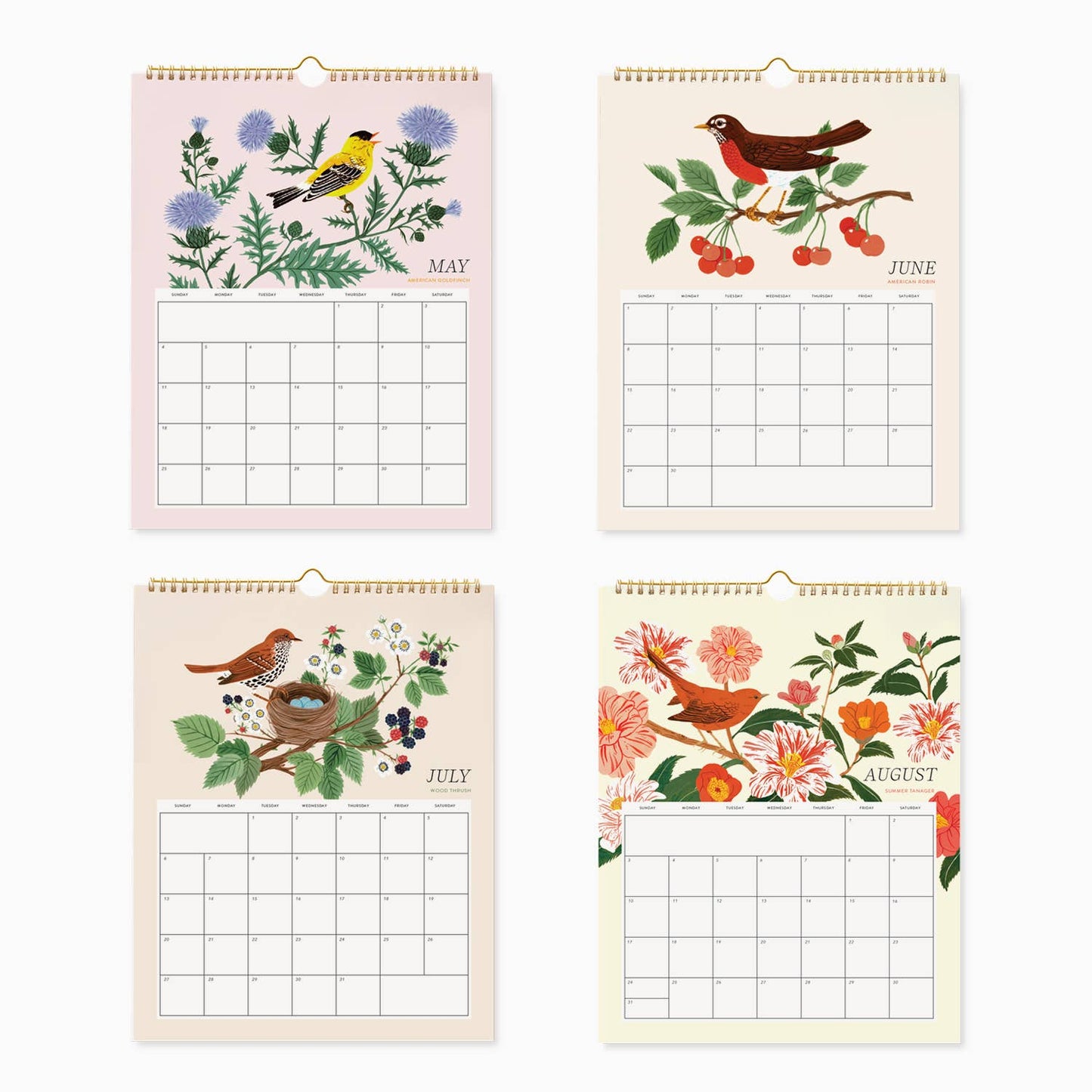 Botanica Paper Co. - 2025 WALL CALENDAR / SONG BIRDS