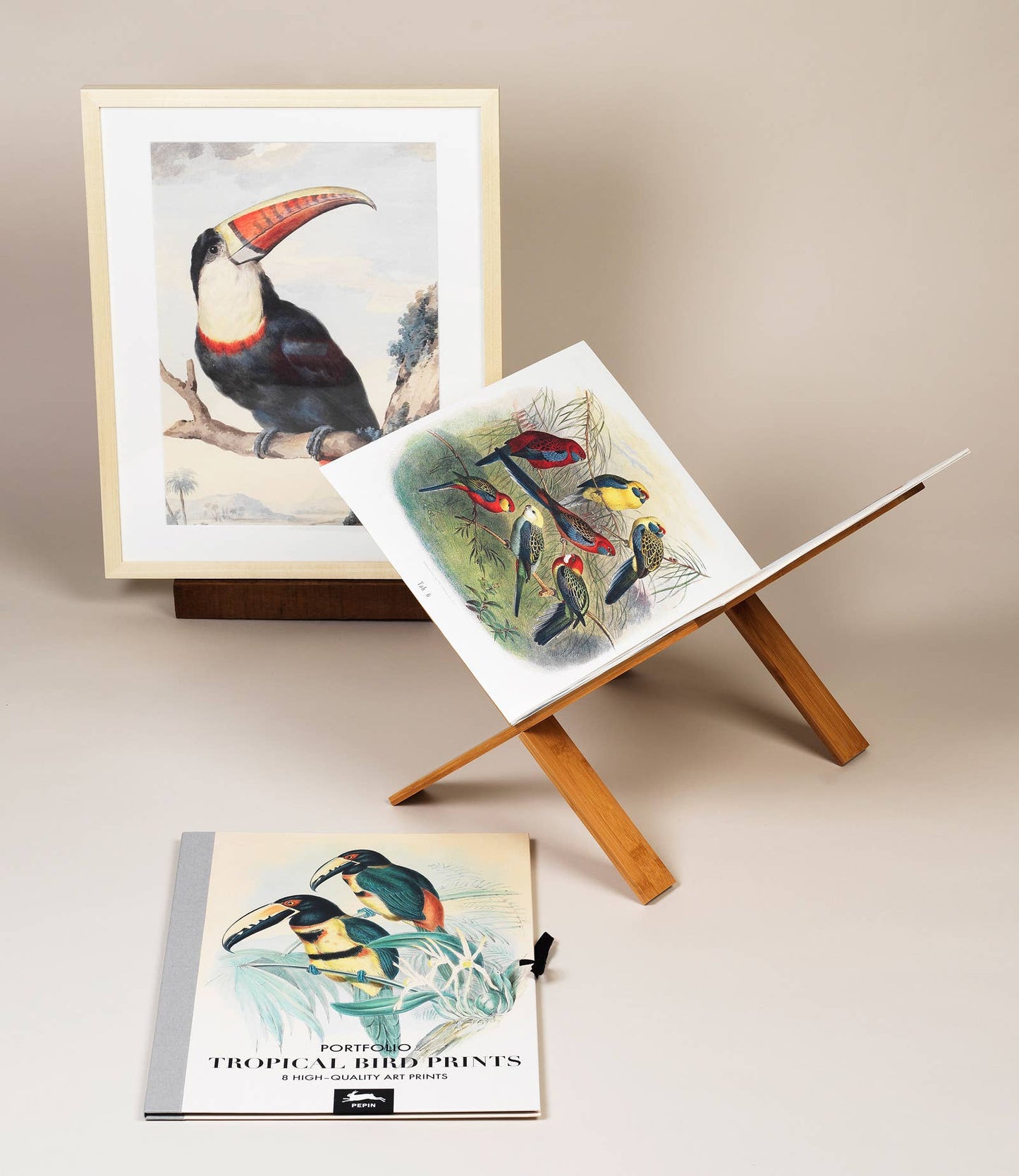 Pepin Press - Tropical Bird Prints - 8 museum-quality art prints