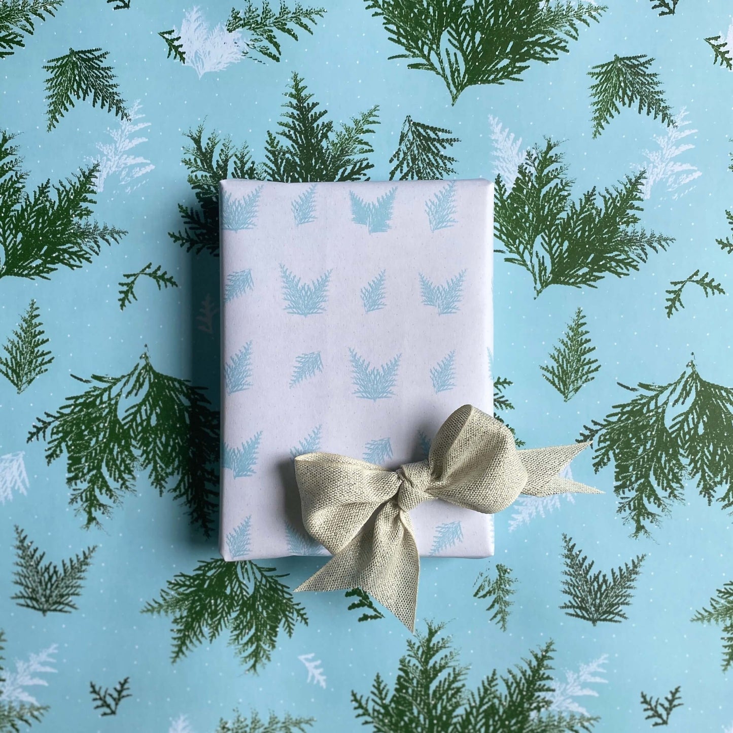 Ballard & Prescott - Cedars by Day Wrapping Paper