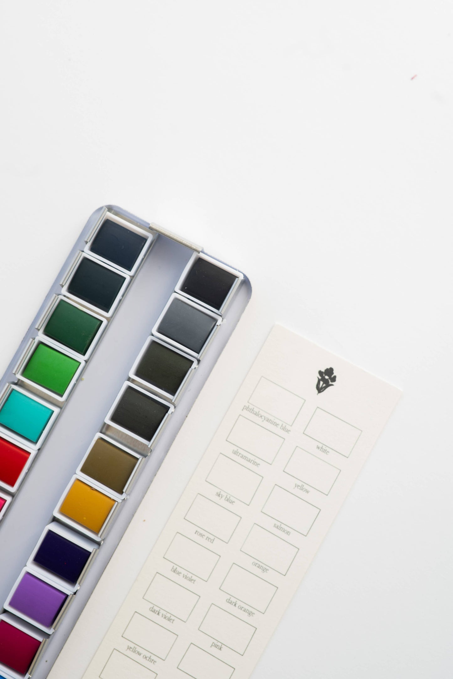 Bailey Rae Studio - 24 Color Watercolor Paint Palette