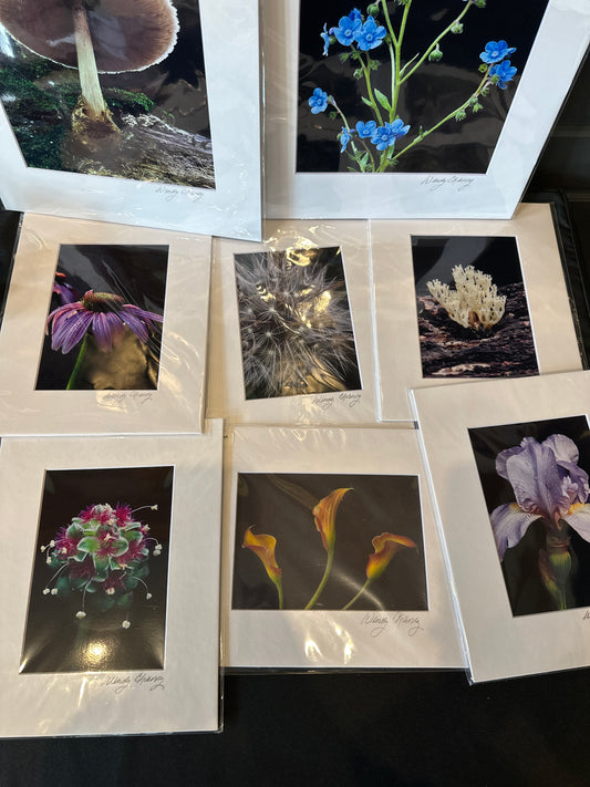 5x7 Matted Print by Wendy Chaney