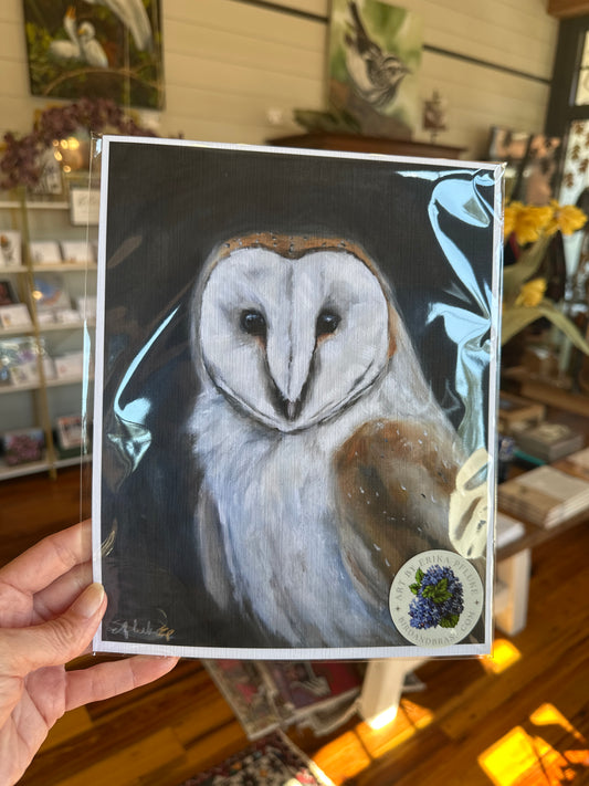 Barn Owl Art Print  8x10
