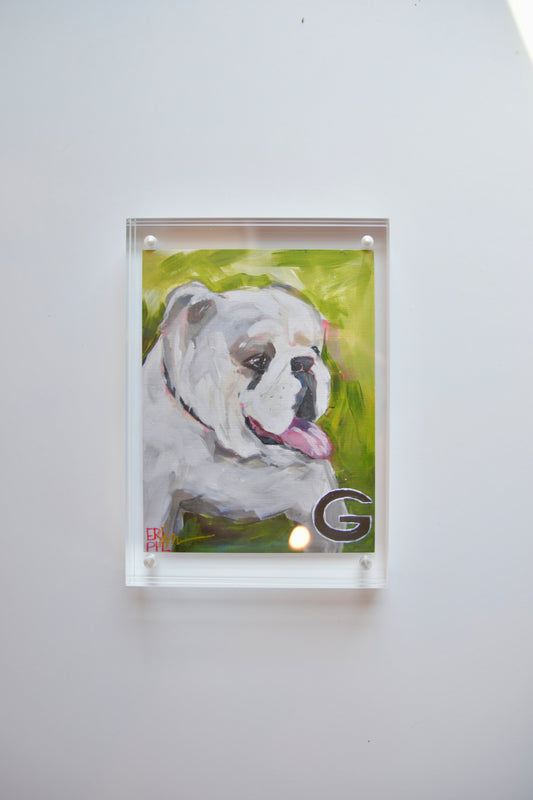 Ga Bulldog:A Portrait Framed Print