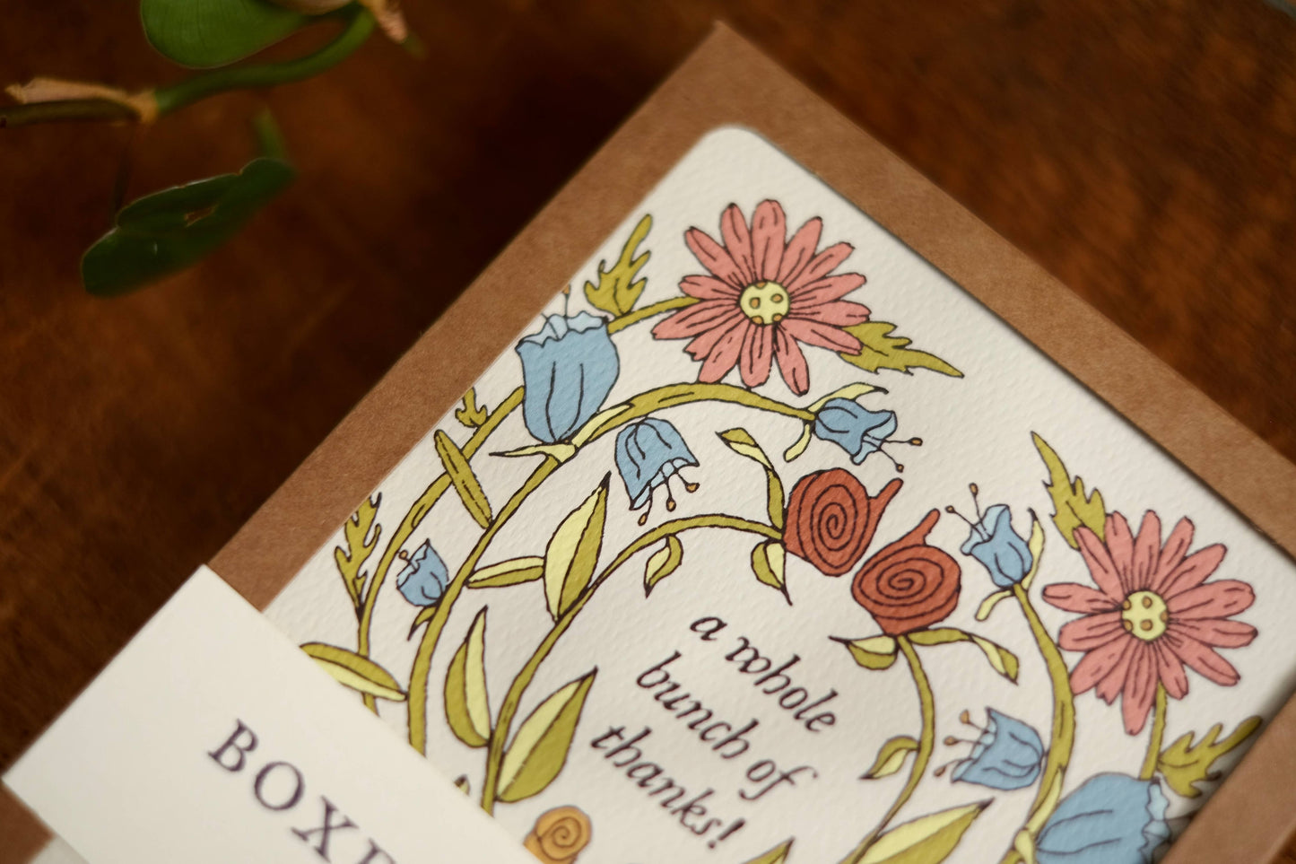 annalisa v. sawtell - Bunch of Thanks | Boxed Card Set of 8 | A2