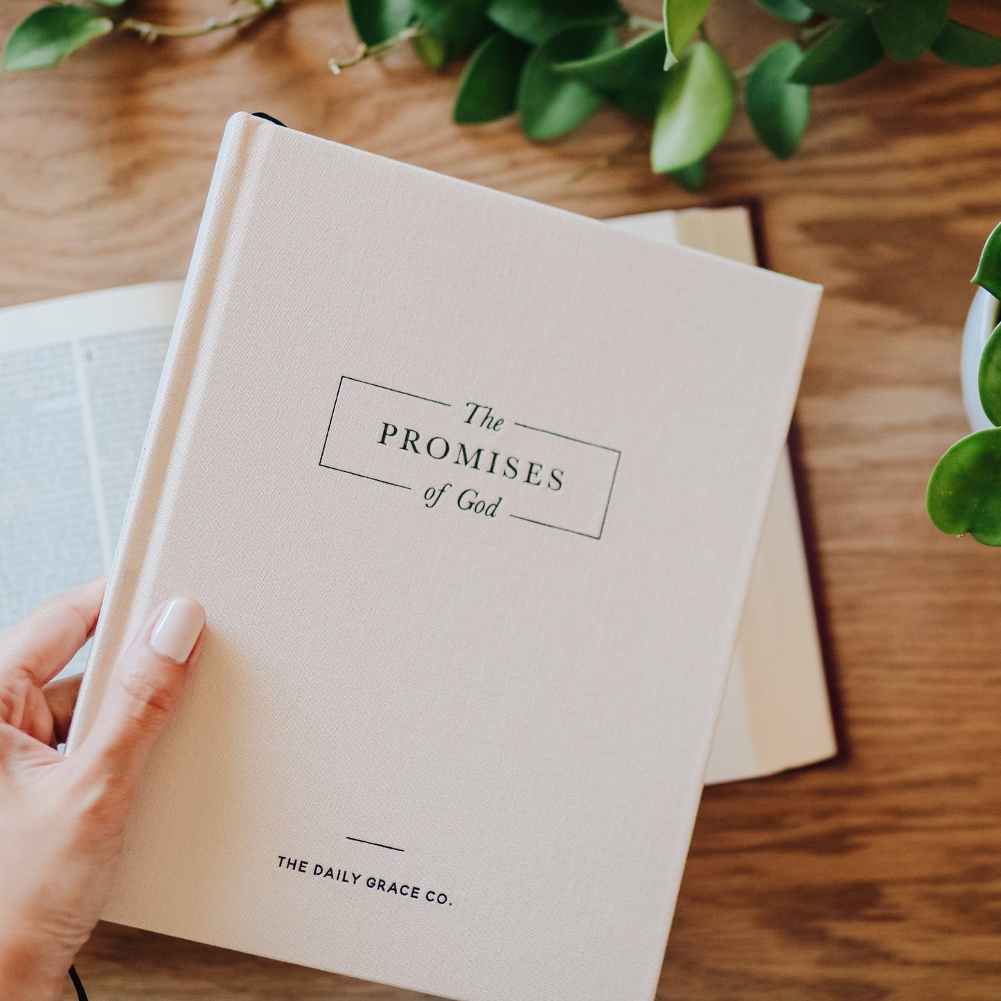 The Daily Grace Co - The Promises of God | Coffee Table Book